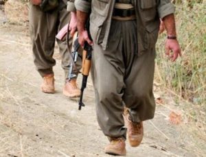 VALİ GÖZÜYLE PKK GERÇEĞİ…