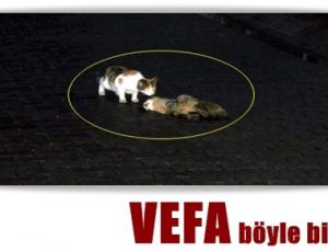 VEFA BÖYLE BİRŞEY..