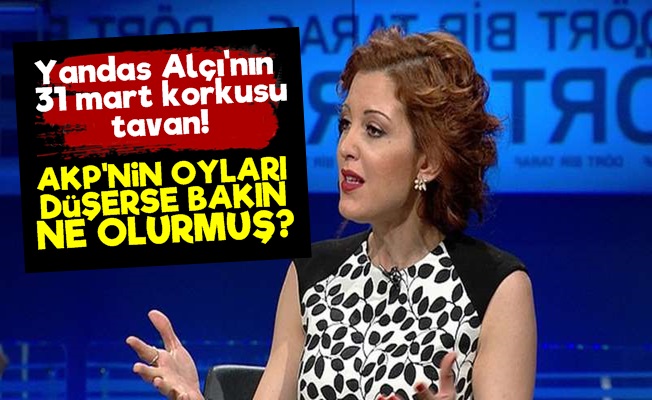 Yandas Alçı'nın 31 Mart Korkusu!