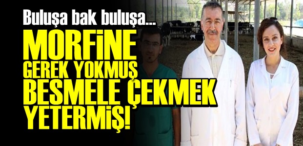 YENİ TÜRKİYE'NİN MORFİNİ; BESMELE…