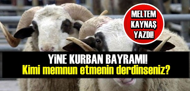 YİNE KURBAN BAYRAMI!..