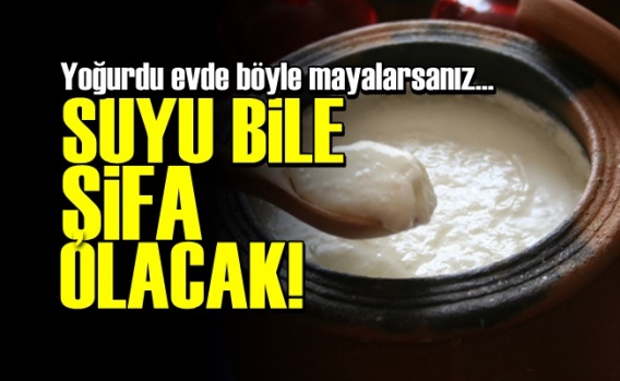 Yoğurdu Böyle Mayalarsanız…