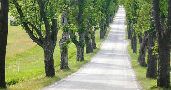 YOLLAR ARTIK ‘YEŞİL SET’ İLE KORUNACAK