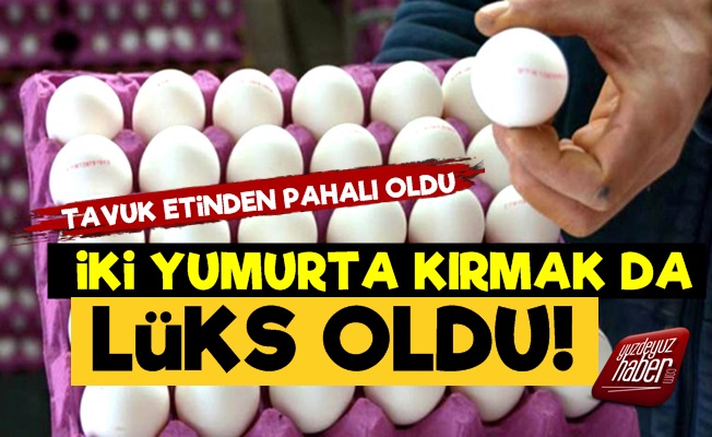 Yumurtanın Fiyatı Tavuk Etini Solladı!