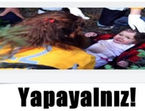 ZEYNEP ARTIK YAPAYALNIZ!