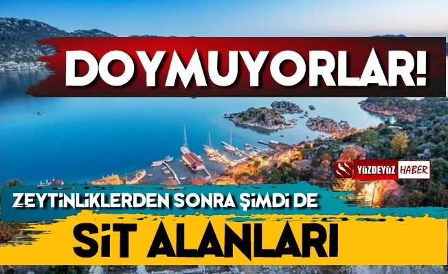 Zeytinliklerden Sonra Şimdi de SİT Alanları Satılacak!