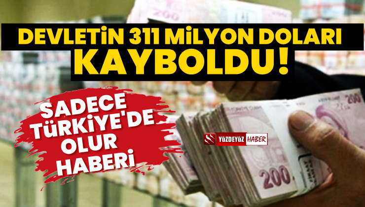 Hale bak! Devletin 311 milyon dolar kayboldu, aranıyor!