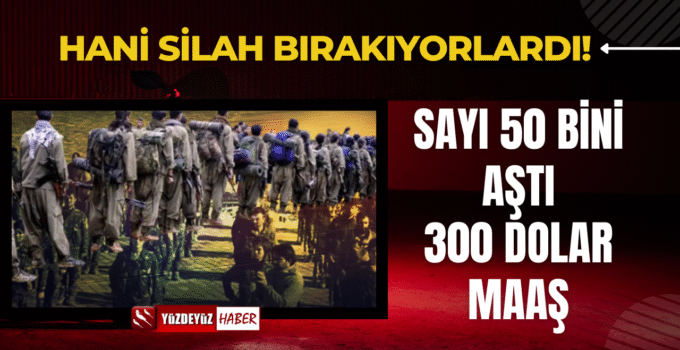 Silah bırakacaklar denen PKK/YPG’de 300 dolar maaşla 50 bin kişi