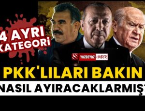 PKK’lıların eve dönüş haritası belli oldu, ayrım 4 kategori de yapılacak