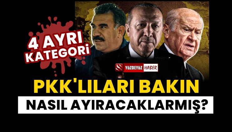 PKK’lıların eve dönüş haritası belli oldu, ayrım 4 kategori de yapılacak