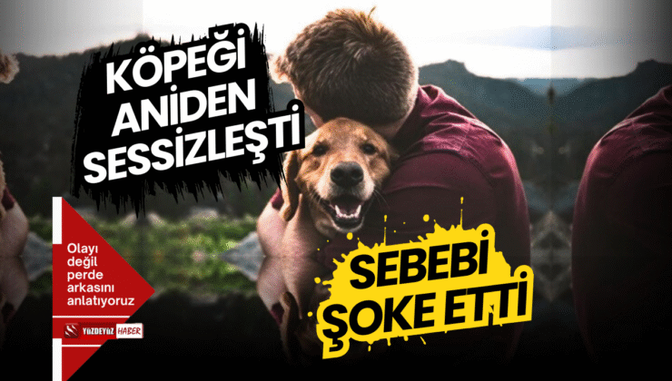 Köpeğin Sessizliği, Sahibini Ürküttü: Hikaye Herkesi Şoke Etti