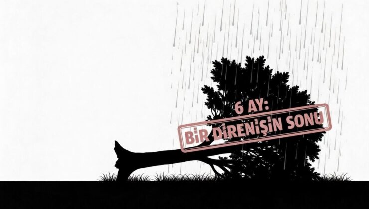 İbrahim Yıldız Sinyali: 50 Bin Kişilik Aramanın Ardındaki 6 Aylık Sessiz Can Pazarı