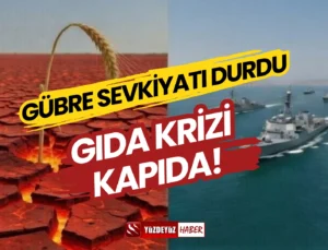 Savaş Tarlayı mı Vurdu? Gübre Krizi Gıda Fiyatlarını Nasıl Etkileyecek?