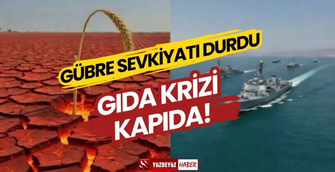 Gübre krizi ve gıda fiyatları artışı temsilî görseli