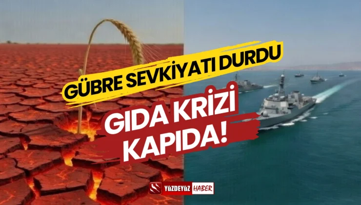 Savaş Tarlayı mı Vurdu? Gübre Krizi Gıda Fiyatlarını Nasıl Etkileyecek?