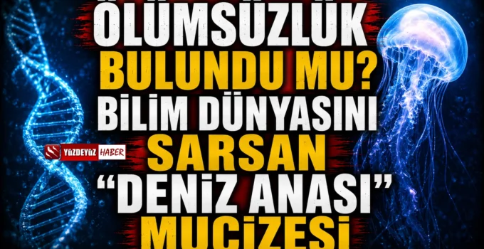 Ölümsüzlük bulundu mu? Bilim dünyasını sarsan “deniz anası” mucizesi