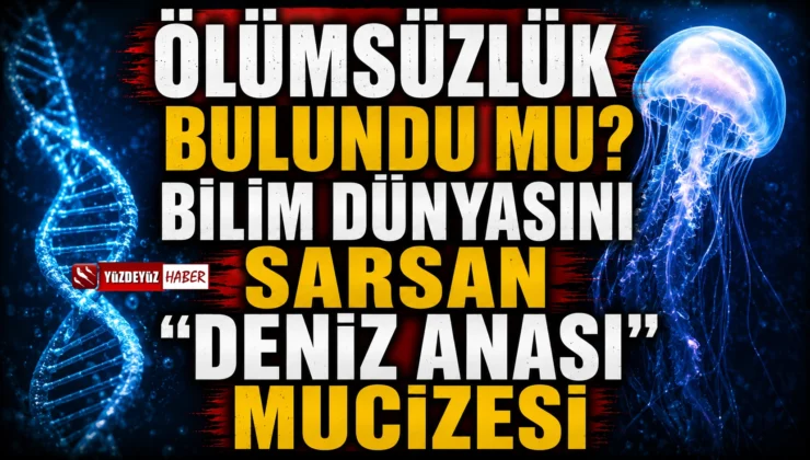 Ölümsüzlük bulundu mu? Bilim dünyasını sarsan “deniz anası” mucizesi