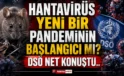 Herkes yeni pandemi diyor! DSÖ’den gemideki hantavirüs için flaş açıklama!