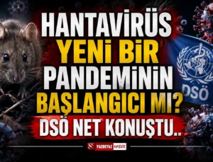 Herkes ‘yeni pandemi’ diyor! DSÖ’den hantavirüs için flaş açıklama ve perde arkası