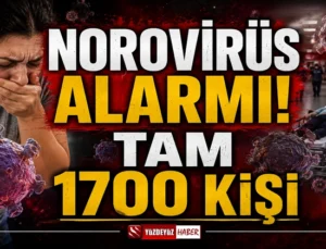 Dev gemide Norovirüs kabusu! 1700 yolcu karantinaya alındı, ölüm var!