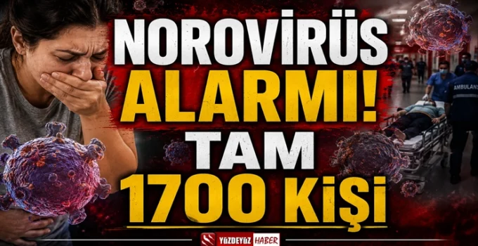 Dev Yolcu Gemisinde Norovirüs Kabusu ve Karantina
