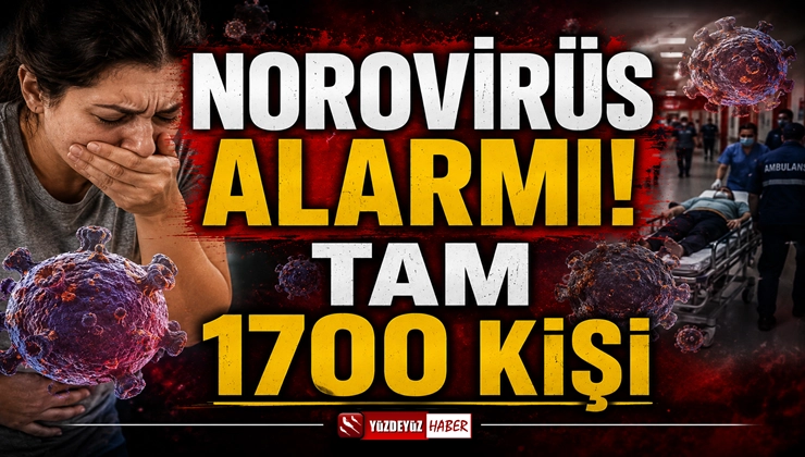 Dev gemide Norovirüs kabusu! 1700 yolcu karantinaya alındı, ölüm var!