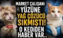 Kedinin yüzüne kimyasal sıkılmıştı! Son durum açıklandı