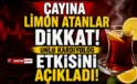 Çaya limon atanlar dikkat! Etkisi ortaya çıktı