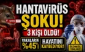 Hantavirüs paniği büyüyor! Gemide ölümler arttı, risk yüksek