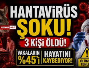 Hantavirüs paniği büyüyor! Gemide ölümler arttı, risk yüksek