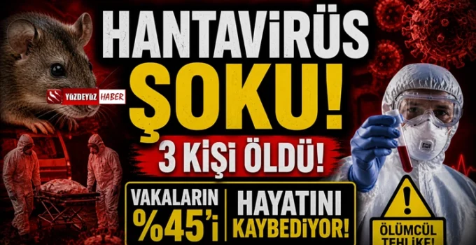 Hantavirüs paniği büyüyor! Gemide ölümler arttı, risk yüksek
