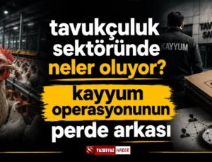Tavukçuluk sektöründe neler oluyor? Kayyum Operasyonunun Perde Arkası