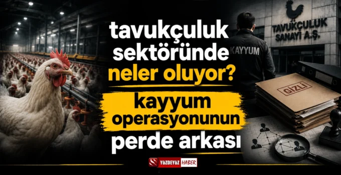 Tavukçuluk sektöründe neler oluyor? Kayyum Operasyonunun Perde Arkası