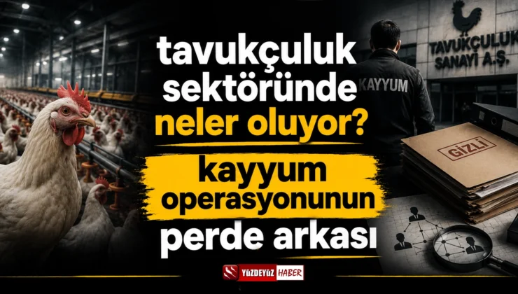 Tavukçuluk sektöründe neler oluyor? Kayyum Operasyonunun Perde Arkası