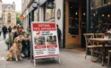 Kafe ve Restoranlarda Evcil Hayvanlara Yeni Yasak mı Geliyor?