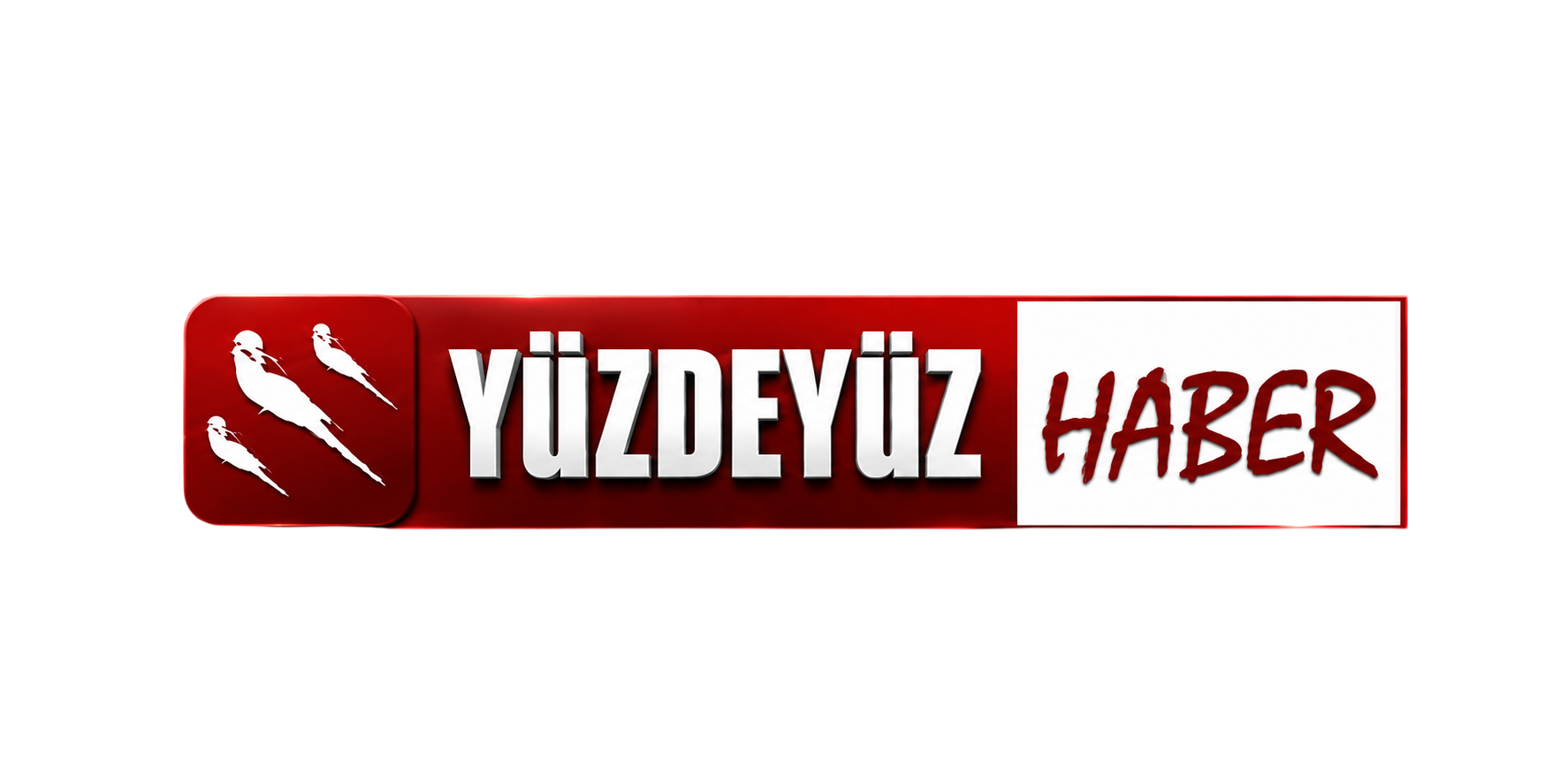 Yüzdeyüzhaber